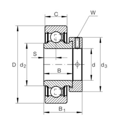 RA100NPP