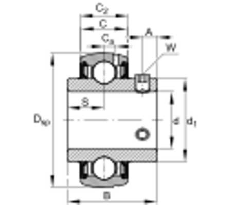 SUC204