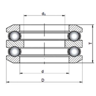 54405