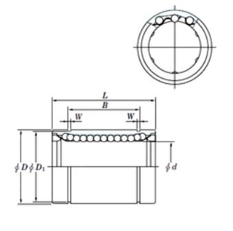 SESDM10